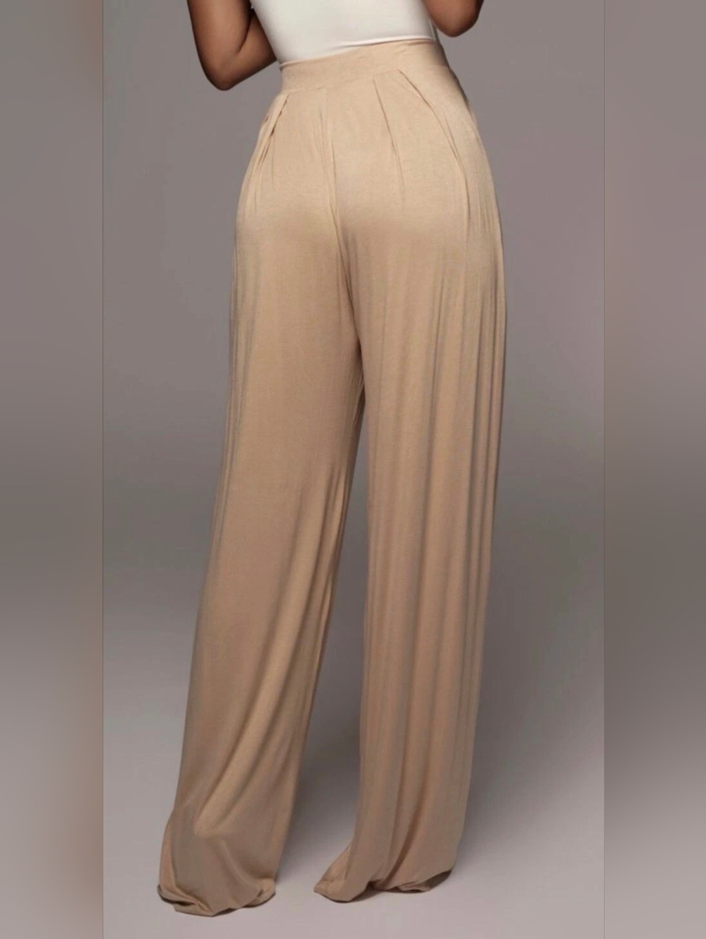 JLUXLABEL Tan Beige Devyn Wide Leg Pleated Trousers Size S NWT - Picture 2 of 13